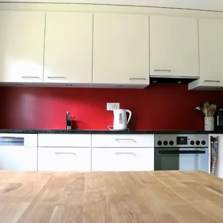 Isenschmid Oberfeld Apartment Frutigen